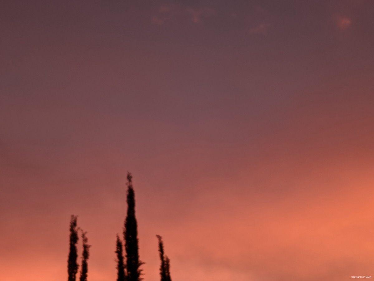 20221229-000